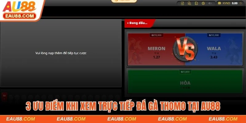 3 ưu điểm khi xem trực tiếp đá gà Thomo tại AU88